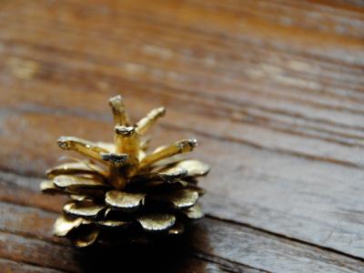 Dec 25,2009 Dec 25,2009