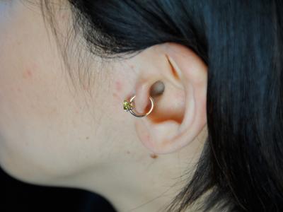 トラガス トラガス