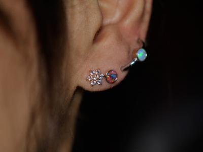 スノーフレイク スノーフレイク