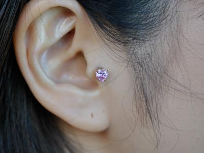 ピンクジルコニア ピンクジルコニア