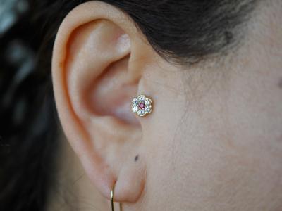 トラガス トラガス