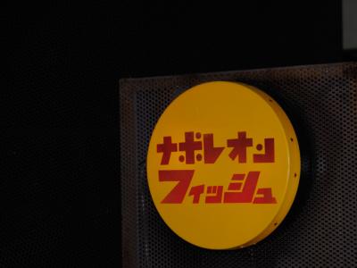 ナポレオンフィッシュ ナポレオンフィッシュ