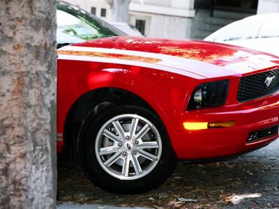 Mustang Mustang