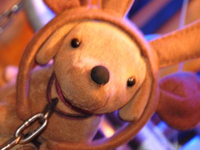 パンプキン パンプキン