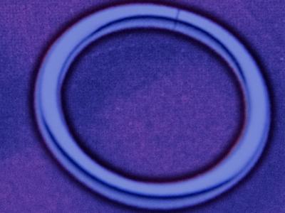 SEAMLESS RING SEAMLESS RING