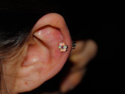 オパールデコレーション オパールデコレーション