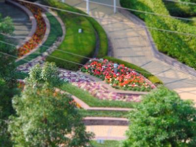 渋谷1丁目 渋谷1丁目