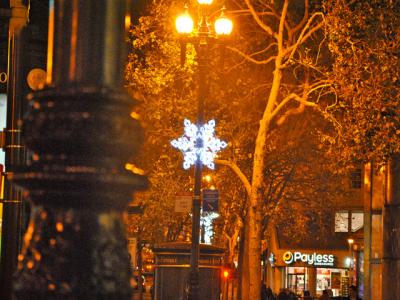 Snow Flake Snow Flake