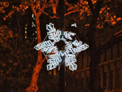 Snow Flake Snow Flake