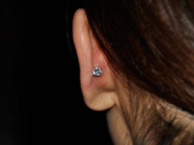 コンク・後ろ コンク・後ろ