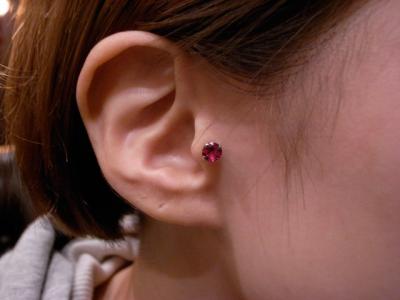 トラガス トラガス