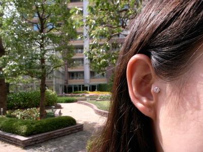 トラガス トラガス