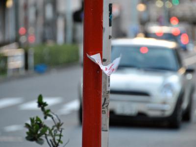 風とMINI 風とMINI