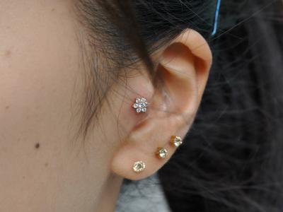 トラガス トラガス