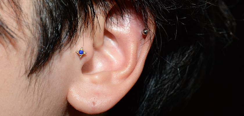 Tragus : Mini Kandy : BVLA - ボディピアス スタジオ :+: ゲートブリッジ