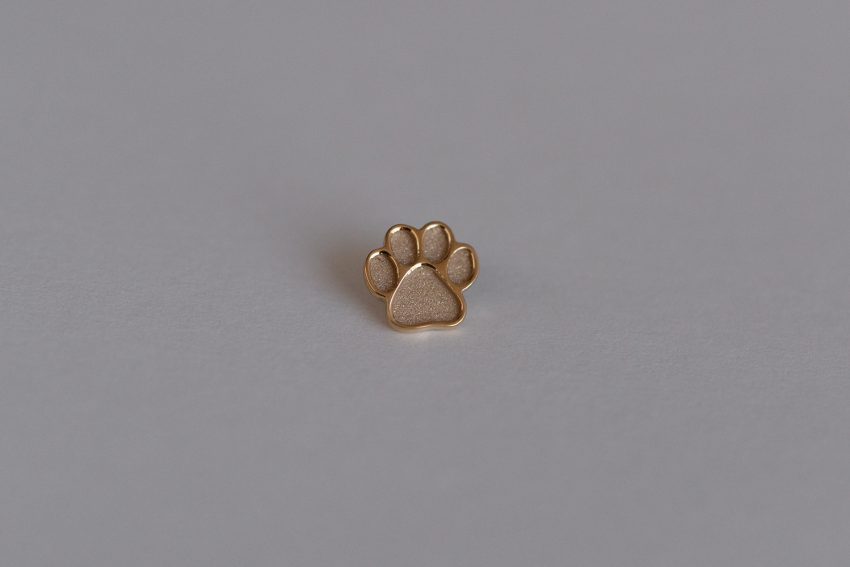 Dog Paw