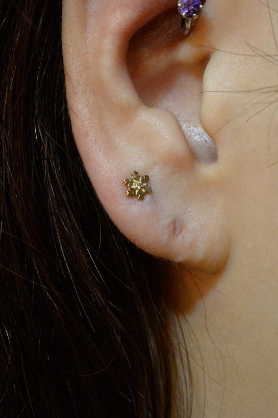 スノーフレーク